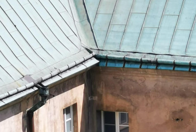 143619985_405246970760797_7467894235374303480_n