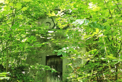 143643302_120883893234714_222591797386896222_n