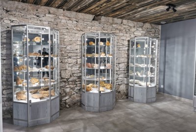 156164045_826609174589303_3535576878478523550_n