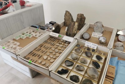 157771522_258565282480353_825936502693801468_n