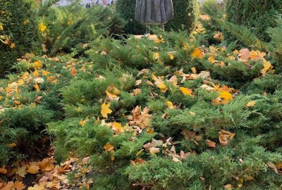 251595828_573361803731235_7063985934441802782_n