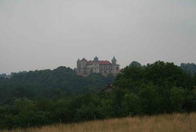 Nowy_Wisnicz24