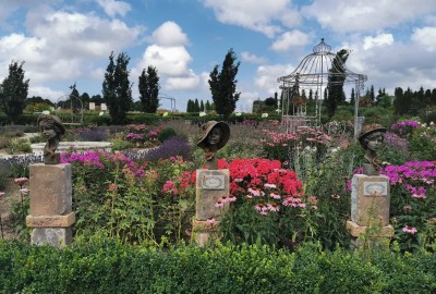 241287653_542447523530766_7957858184644210924_n