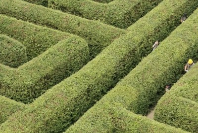 241366790_178583314409015_3442040765045012818_n