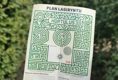 241397766_1273104673208006_8681648940782408472_n