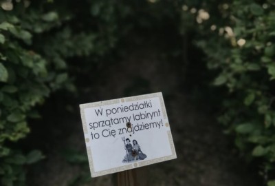 241419966_548883902863016_1269659585533000534_n