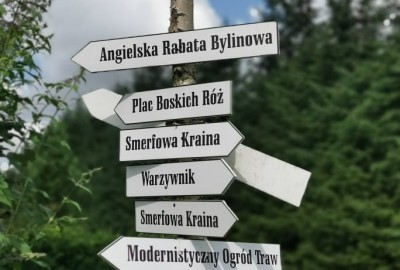 241430938_368163961707802_7265170708451550446_n