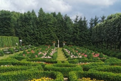 241443608_939993136724803_6700886065253340388_n