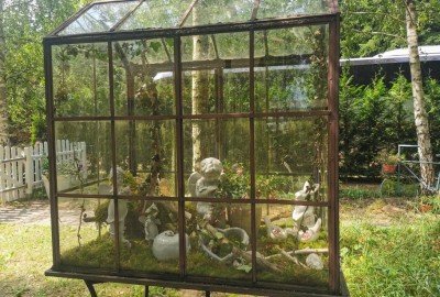 241485854_916736885616251_7763192848429999139_n