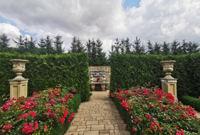 241486348_441522860585224_5908432698561239956_n