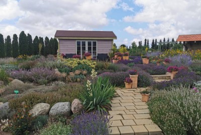 241486370_225796752843947_8315483748794664664_n