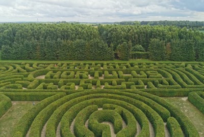 241947067_904216840443612_2924678244032282182_n