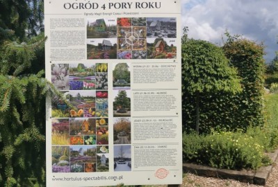 242065853_851779492375788_7032847224736176306_n