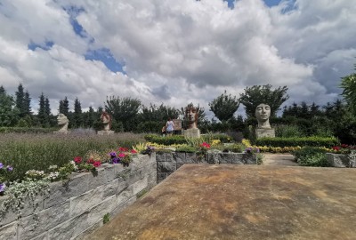 242072005_430892908422657_7245366837650235838_n