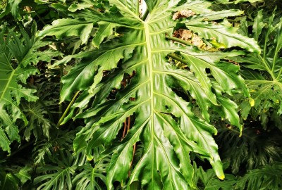 278012928_532186361816057_8843635812402257438_n