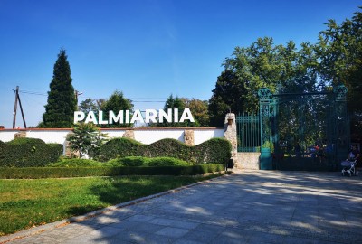 278367839_882918092416416_8136084222312354386_n