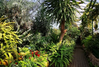 278377540_705552240690119_4105334462145178204_n