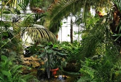 278383338_506941314225900_8328462684892021498_n