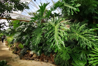 278476857_705427164204860_6504049994416020212_n