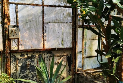 278482885_1437503790014723_4232406386249396671_n