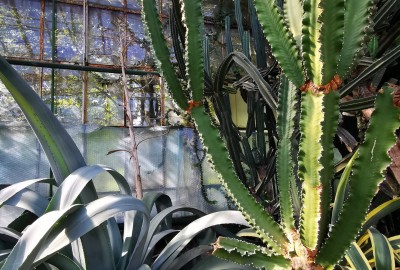 278567602_524954749008957_1378484156515951188_n