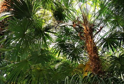 278575365_409251617203994_5551636080569752489_n