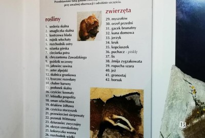 317788227_682281313242225_2020655184092335115_n