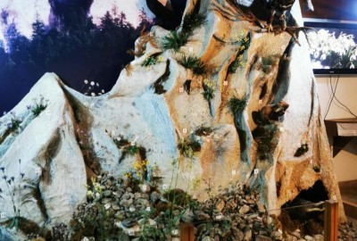 318419537_685054069691969_1345196025925023534_n