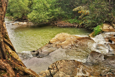 IMG_20200815_104803-01_Copy