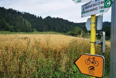 IMG_20200815_105530_Copy