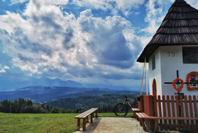 IMG_20200815_115935-01_Copy