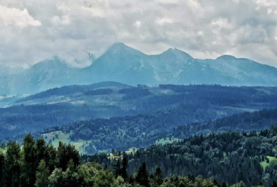 IMG_20200815_120403-01_Copy