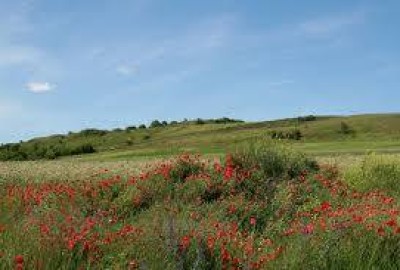 17440155_1371103592946051_595681614_n