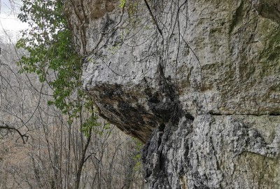 WhatsApp_Image_2021-04-17_at_15.17.56_1