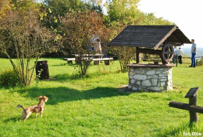 Ruiny_Kosciola_Laskowiec_Zarki10