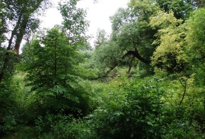 Sanktuarium_Otylii_6