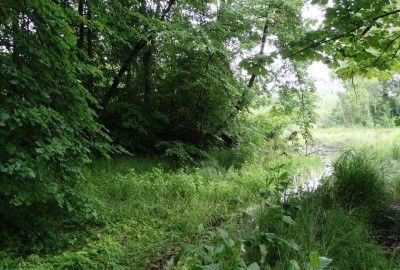 Sanktuarium_Otylii_7