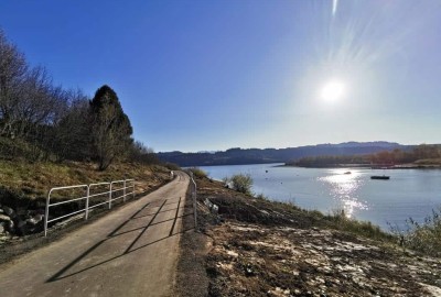 IMG_20191027_141952_Copy