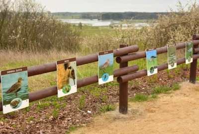 591578e51d2f2-1-DSC_6356