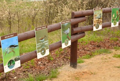 591578f24a982-1-DSC_6357