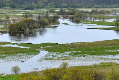 5915790101d73-1-DSC_6362