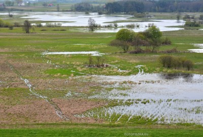 59157935e3ab9-1-DSC_6387