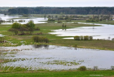 5915794c4306a-1-DSC_6398