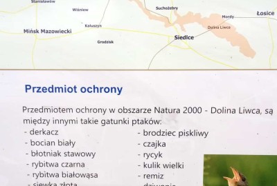 591579551bb80-1-20170503_164842