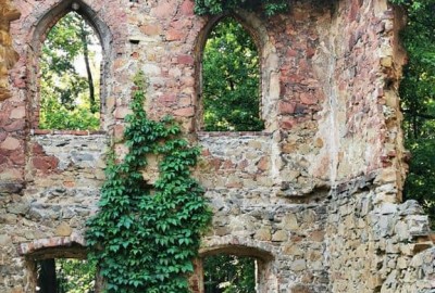 IMG_20200915_161117_Copy