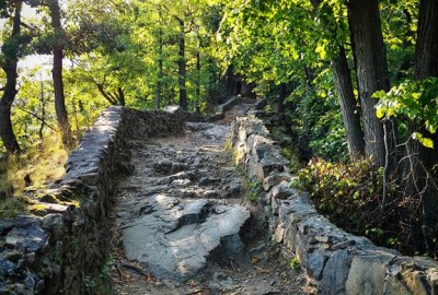 IMG_20200915_161824_Copy