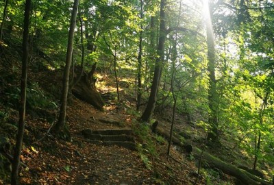 IMG_20200915_164253_Copy