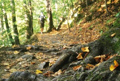 IMG_20200915_164310_Copy