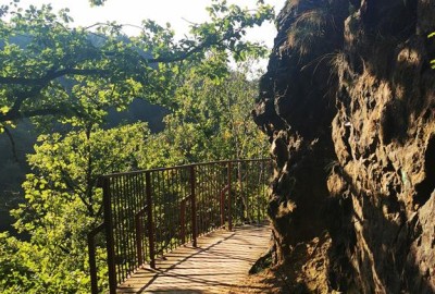 IMG_20200915_164656_Copy