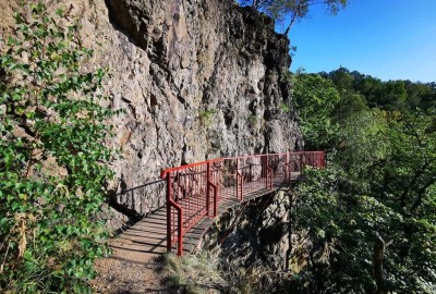 IMG_20200915_164819_Copy